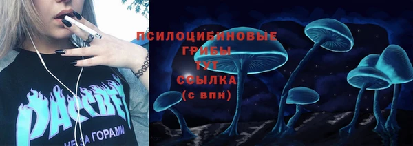 круглые Вяземский