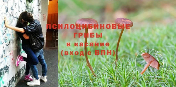 mdma Вязьма