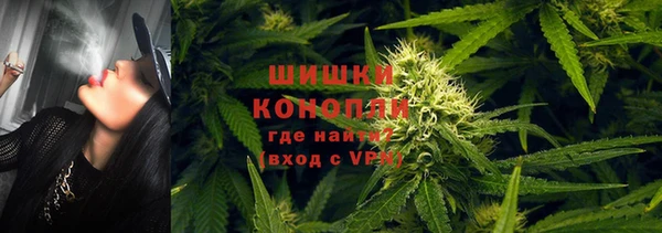 круглые Вяземский